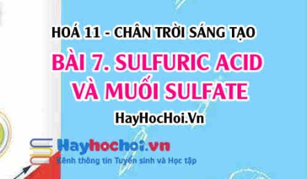 Tính chất vật lí, tính chất hoá học của Sulfuric acid H2SO4, ứng dụng của muối Sulfate? Hoá 11 chân trời bài 7
